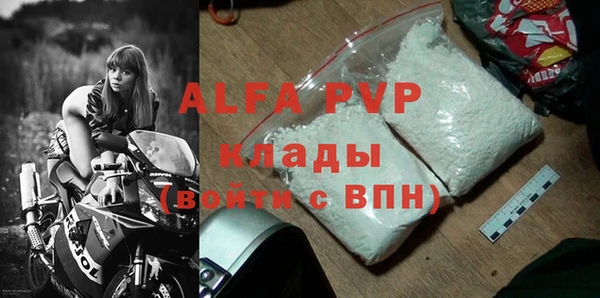 стаф Новозыбков